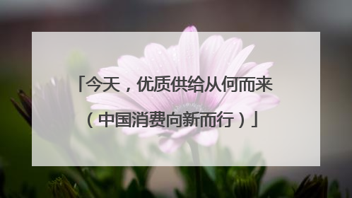 今天，优质供给从何而来（中国消费向新而行）
