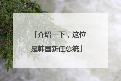 介绍一下，这位是韩国新任总统