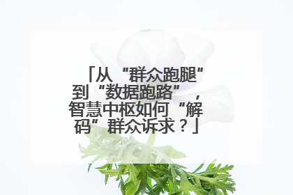 从“群众跑腿”到“数据跑路”，智慧中枢如何“解码”群众诉求？