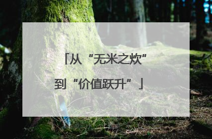 从“无米之炊”到“价值跃升”