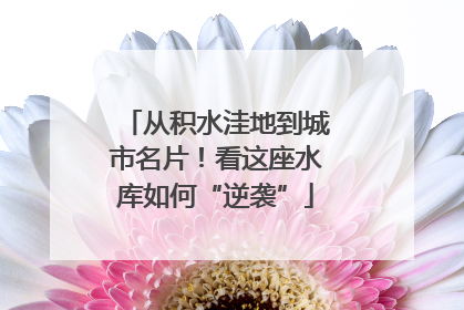 从积水洼地到城市名片！看这座水库如何“逆袭”