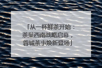 从一杯鲜茶开始：茶巢西南战略启幕，蓉城茶事焕新登场
