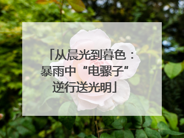 从晨光到暮色：暴雨中“电骡子”逆行送光明