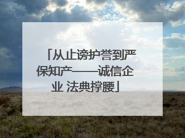 从止谤护誉到严保知产——诚信企业 法典撑腰