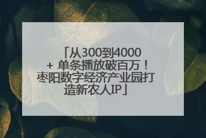 从300到4000+ 单条播放破百万！枣阳数字经济产业园打造新农人IP
