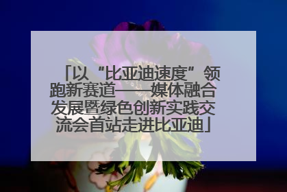 以“比亚迪速度”领跑新赛道——媒体融合发展暨绿色创新实践交流会首站走进比亚迪