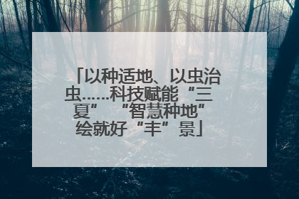 以种适地、以虫治虫……科技赋能“三夏” “智慧种地”绘就好“丰”景