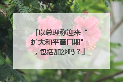 以总理称迎来“扩大和平窗口期”，包括加沙吗？