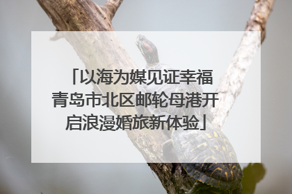 以海为媒见证幸福 青岛市北区邮轮母港开启浪漫婚旅新体验
