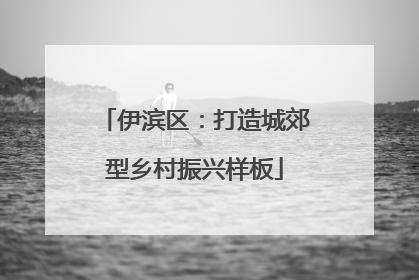 伊滨区：打造城郊型乡村振兴样板