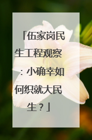 伍家岗民生工程观察：小确幸如何织就大民生？