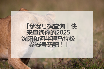 参赛号码查询丨快来查询你的2025沈阳和河半程马拉松参赛号码吧！
