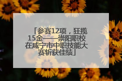 参赛12项，狂揽15金——崇阳职校在咸宁市中职技能大赛斩获佳绩