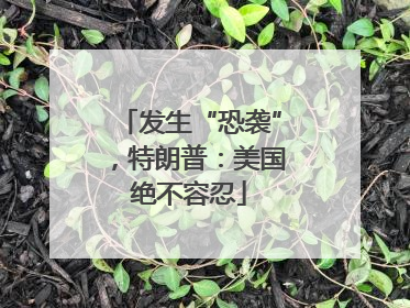 发生“恐袭”，特朗普：美国绝不容忍