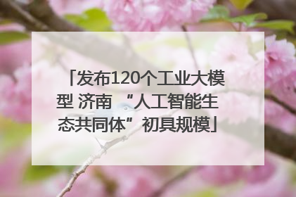 发布120个工业大模型 济南 “人工智能生态共同体”初具规模