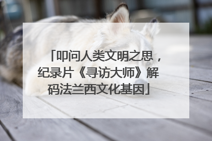 叩问人类文明之思，纪录片《寻访大师》解码法兰西文化基因