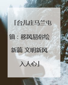 台儿庄马兰屯镇：移风易俗绘新篇 文明新风入人心