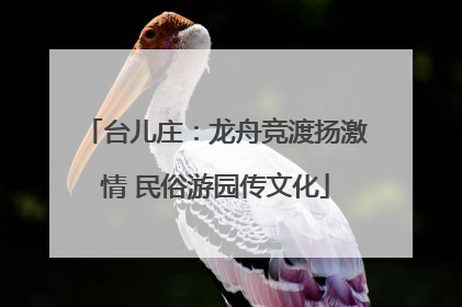 台儿庄：龙舟竞渡扬激情 民俗游园传文化