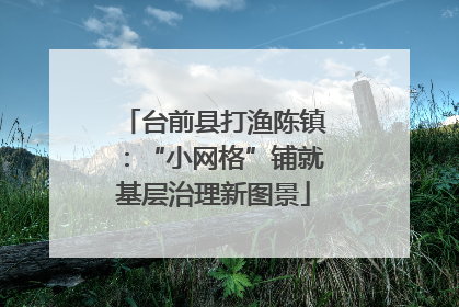 台前县打渔陈镇：“小网格”铺就基层治理新图景