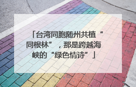 台湾同胞随州共植“同根林”，那是跨越海峡的“绿色情诗”