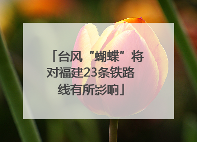 台风“蝴蝶”将对福建23条铁路线有所影响