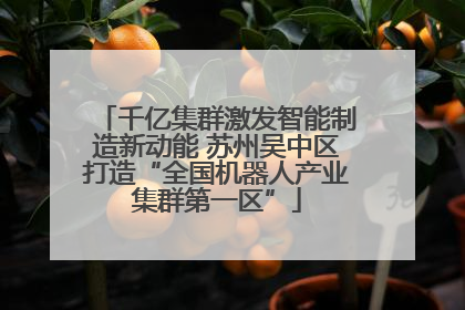 千亿集群激发智能制造新动能 苏州吴中区打造“全国机器人产业集群第一区”