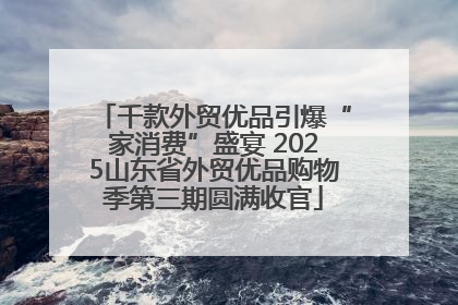 千款外贸优品引爆“家消费”盛宴 2025山东省外贸优品购物季第三期圆满收官