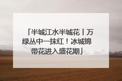 半城江水半城花丨万绿丛中一抹红！冰城锦带花进入盛花期
