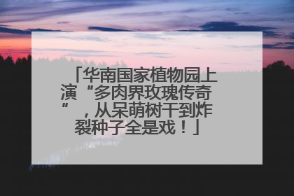 华南国家植物园上演“多肉界玫瑰传奇”，从呆萌树干到炸裂种子全是戏！