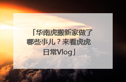 华南虎搬新家做了哪些事儿？来看虎虎日常Vlog
