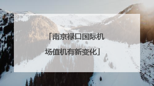 南京禄口国际机场值机有新变化