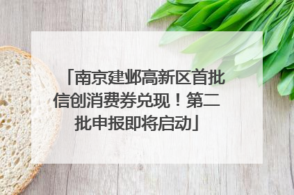 南京建邺高新区首批信创消费券兑现！第二批申报即将启动