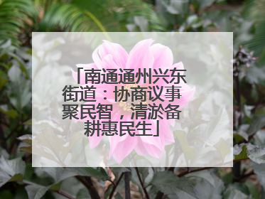 南通通州兴东街道：协商议事聚民智，清淤备耕惠民生