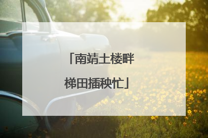 南靖土楼畔 梯田插秧忙