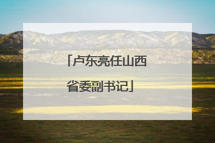 卢东亮任山西省委副书记