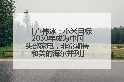 卢伟冰：小米目标2030年成为中国头部家电，非常期待和美的海尔并列