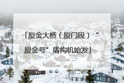 厦金大桥（厦门段）“厦金号”盾构机始发
