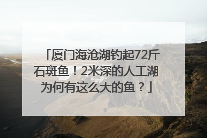 厦门海沧湖钓起72斤石斑鱼！2米深的人工湖为何有这么大的鱼？