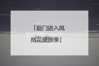 厦门进入凤凰花盛放季