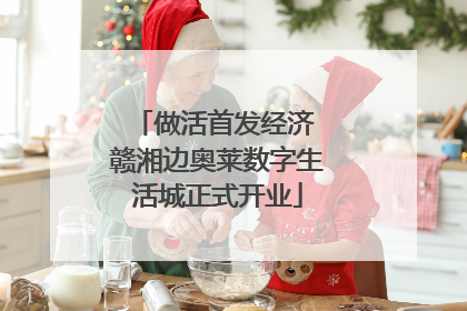 做活首发经济 赣湘边奥莱数字生活城正式开业