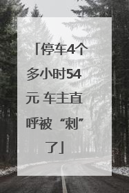 停车4个多小时54元 车主直呼被“刺”了