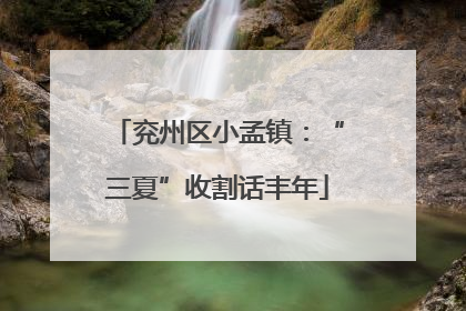 兖州区小孟镇：“三夏”收割话丰年