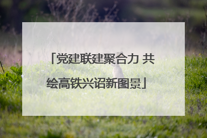 党建联建聚合力 共绘高铁兴诏新图景