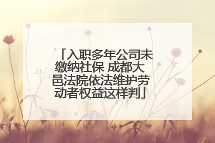 入职多年公司未缴纳社保 成都大邑法院依法维护劳动者权益这样判