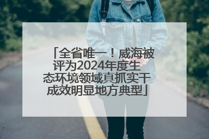 全省唯一！威海被评为2024年度生态环境领域真抓实干成效明显地方典型