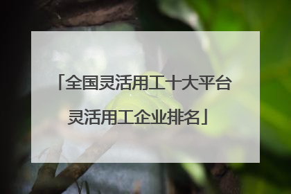 全国灵活用工十大平台 灵活用工企业排名