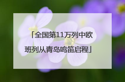全国第11万列中欧班列从青岛鸣笛启程