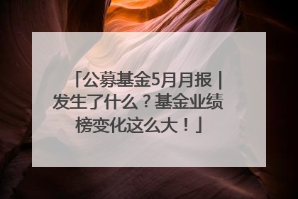 公募基金5月月报｜发生了什么？基金业绩榜变化这么大！