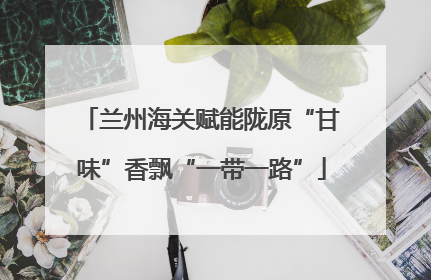 兰州海关赋能陇原“甘味”香飘“一带一路”