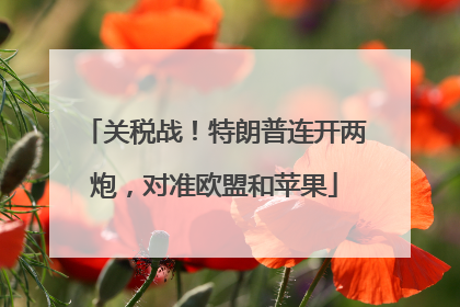 关税战！特朗普连开两炮，对准欧盟和苹果